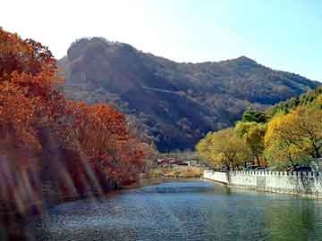 天天彩好彩天天免费，庄浪seo排名